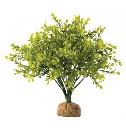 Exo-Terra Boxwood Bush - roślina sztuczna