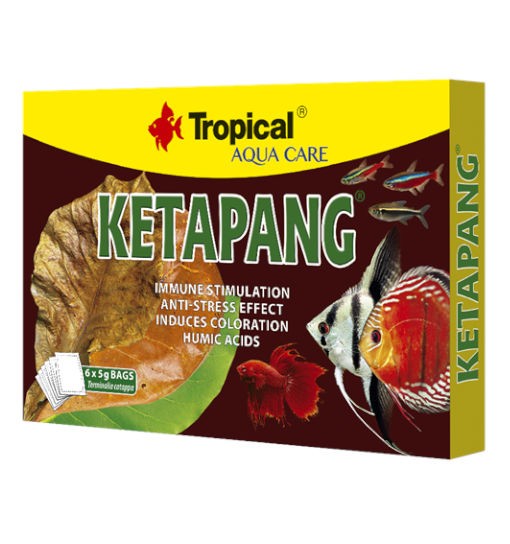 Tropical Ketapang 6 saszetek po 5g - suszone i rozdrobnione liście migdałecznika morskiego