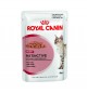Royal Canin Instinctive (sos) 85g