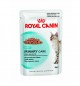 Royal Canin Urinary (sos) 85g