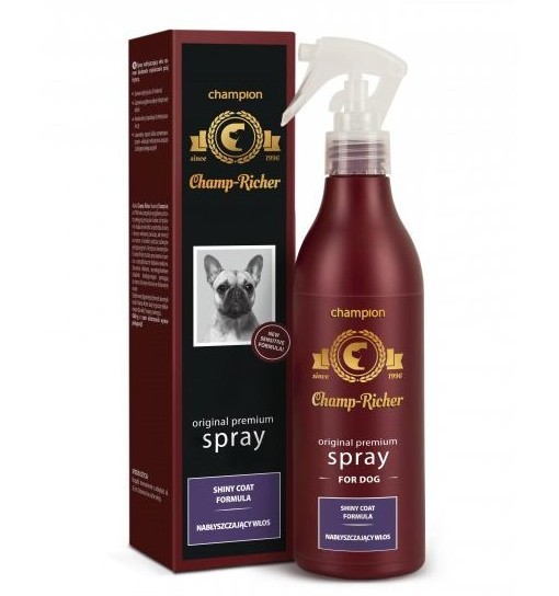 CHAMP-RICHER - spray nabłyszczający włos 250 ml