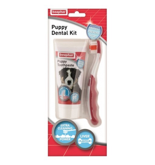 Beaphar Puppy Dental Kit - pasta do zębów 50g + szczoteczka dla szczeniąt