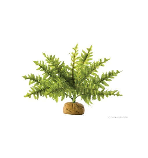Exo-Terra Boston Fern - roślina sztuczna