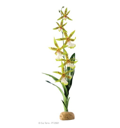 Exo-Terra Orchidea Spider Orchid - roślina sztuczna