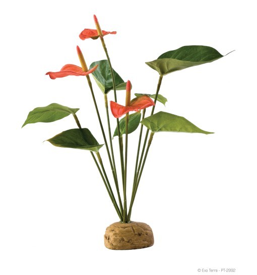 Exo-Terra Antharium Bush - roślina sztuczna