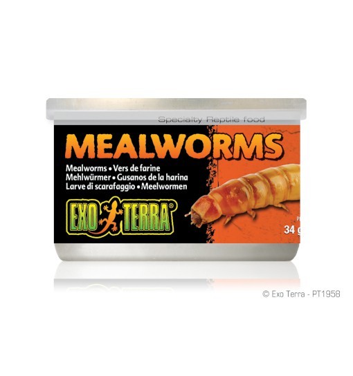 Exo-Terra Pokarm w puszce - mączniki Mealworms