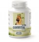 Mikita Canvital plus czosnek - suplement diety poprawiający kondycję i odporność